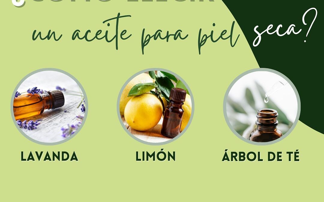 ¿Cómo elegir un aceite para piel seca?