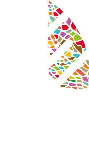 Copia de Copia de Hoja-Blend